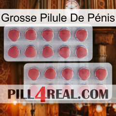 Grosse Pilule De Pénis 19